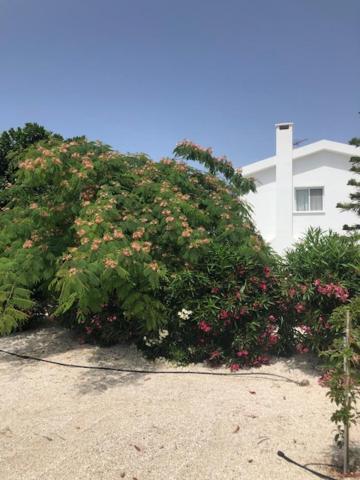 Villa Olivia, Coral Bay Buitenkant foto